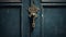 A close up of a door with an ornate handle and lock, AI