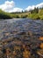 Close up of the Douglas Creek, Laramie, Wyoming