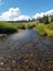 Close up of the Douglas Creek, Laramie, Wyoming