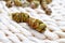 Close-up of dried Dendrobe flowers arranged in a rustic wicker basket