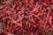 Close up of dried red chillies