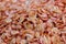 Close-up of dried shrimp  Many in the seafood market in Thailand