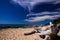 Close up of driftwood against blue sky on lonely beach on tropical island Ko Lanta, Thailand