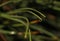 Close-up of a drop of water in the morning after a rain. Blurred Background & Textures