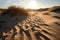 close-up of dry and cracked sand dunes, with the sun shining in the background