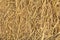 Close up of a Dry grass straw, harvest, hay background. Texture of straw.