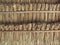 Close up of a dry palm leaves roof . Caribbean beach sunroof. View from below of a thatched tropical beach parasol umbrella made