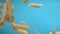 Close-up of dry raw pasta penne flying diagonally on a blue background