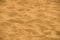 Close up dry Sandy floor nature abstract background