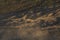 close-up of the dunes that surrounds the Bromo, Indonesia