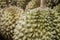 Close-up Durian for selling