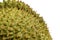 Close up of durian spiky texture and background