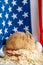 Close up of an Easter bunny, against the backdrop of the American flag.