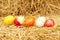 Close up of Easter eggs stack on straw backgrounds
