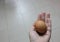 Close-up of an egg in the hands of a skilled farmer holding a chicken egg