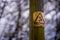 Close-up of an electrical warning sign on wooden post in a park in Kent against a blurred forrest background