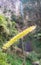 Close-up Elephant grass flower, Napier grass, Uganda grass with blurry Kali Pancur waterfall background