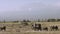 Close up of elephants and mt kilimanjaro at amboseli in kenya