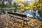 Close-up of empty bench, with yellow leaves on the ground, in a landscape of autumn trees, with pond