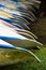 Close up of the end of blue and silver metal canoes lined up in grass for rent