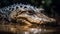 Close up of Endangered Crocodile Teeth in African Swamp generated by AI