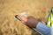 Close-up of an engineer\'s hands holding a folder in a wheat field in summer