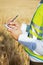 Close-up of an engineer\'s hands holding a folder in a wheat field in summer
