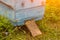 Close-up of the entrance to a large blue hive from a wood in the