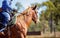 Close Up Of Equestrian And Horse In Barrel Racing Competition