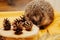 Close-up of a European hedgehog in colourful yellow and orange Autumn leaves. Horizontal. Space for copy.