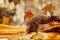 Close-up of a European hedgehog in colourful yellow and orange Autumn leaves. Horizontal. Space for copy.