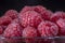 Close-up of European raspberry or red raspberry Rubus idaeus on black background