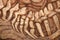 Close up of Excavating dinosaur fossils