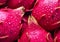 Close up exotic pitaya dragon fruit.Macro.AI Generative