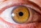 close up eye. close up Iris. very Close macro shot of an eyeball. Amber or brown with ridges