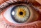close up eye. close up Iris. very Close macro shot of an eyeball. green and yellow with black border