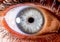 close up eye. close up Iris. very Close macro shot of an eyeball. light pale blue and white