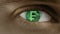 Close-up of eye with computer text overlayed. Zoom in centr. Swiss, Franc, CHF