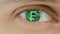 Close-up of eye with computer text overlayed. Zoom in centr. Swiss, Franc, CHF