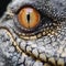 Close up of the eye of a crocodile, extreme closeup