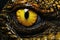 Close-up of the eye of a frog with yellow eyes, Highlight the yellow eye of a crocodile in a close-up, AI Generated