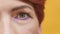 Close up, eye with purple and gold eyeshadow, middle age woman. Blinking