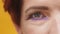 Close up, eye with purple and gold eyeshadow, middle age woman. Blinking