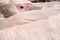 Close-up of an eye of the rosy pelican resting