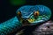 Close-up of the eye of a tree python (Python reticulatus). Generative AI
