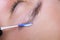 Close-up of eyebrow hairs styled and combed with laminating compositions
