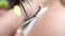Close-up eyelash extension procedure master using tweezers sticks a bunch of eyelashes