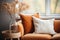 Close up of fabric sofa with terra cotta pillow against window and white wall. AI generate