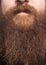Close up of a face with thick beard