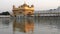 close up of the famous golden temple on an afternoon in amritsar